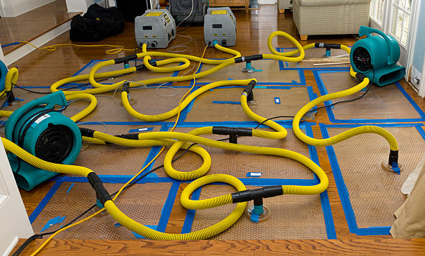 Professional Water Damage Repair technician working in Dunlap, IN